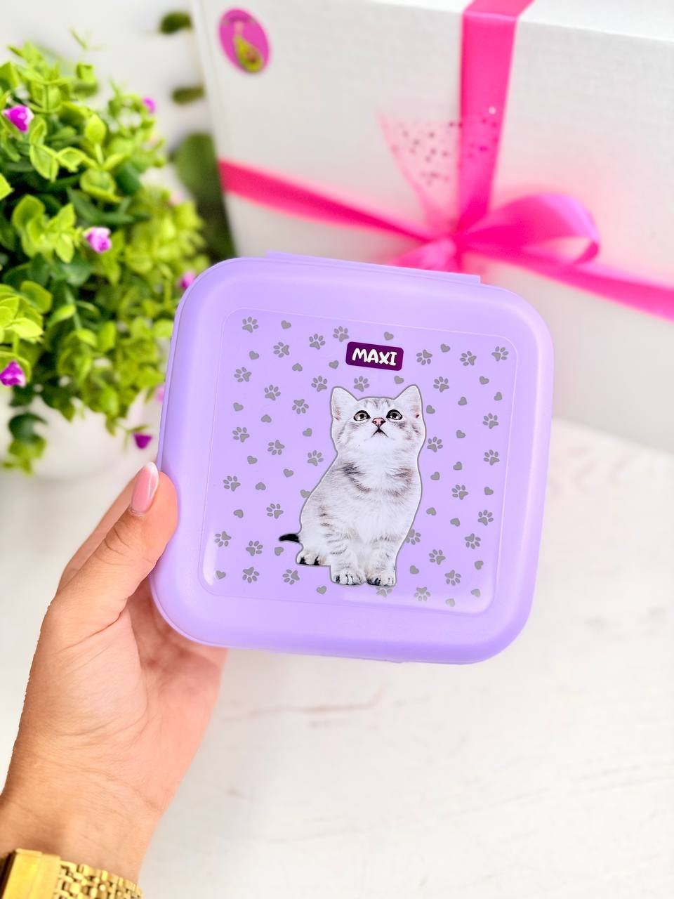 Ланчбокс "Котик" бузковий "Maxi"
